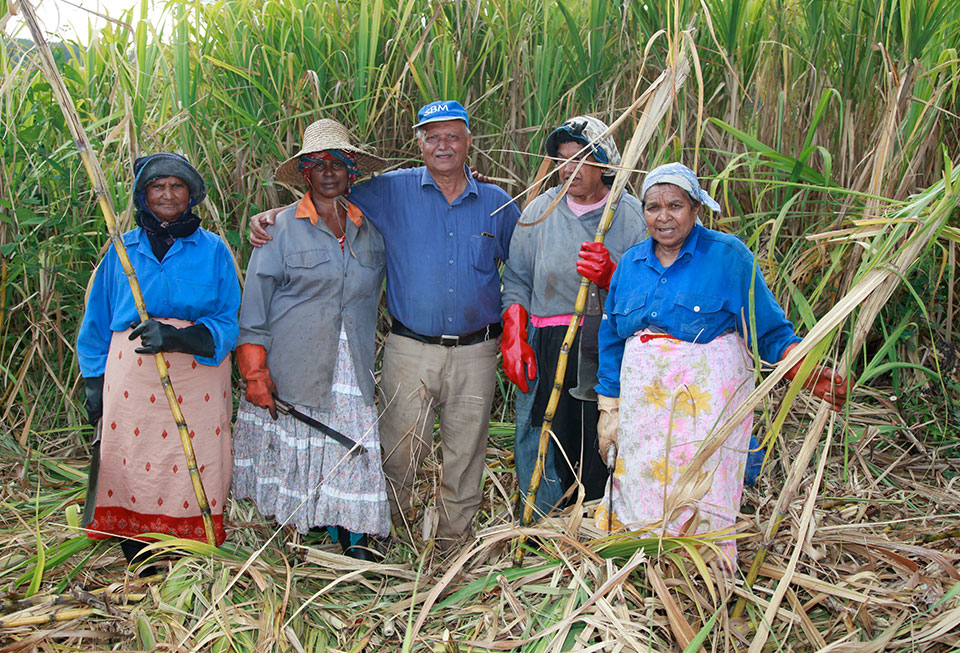Mauritius Sugar Syndicate A selection of gourmet natural cane sugars